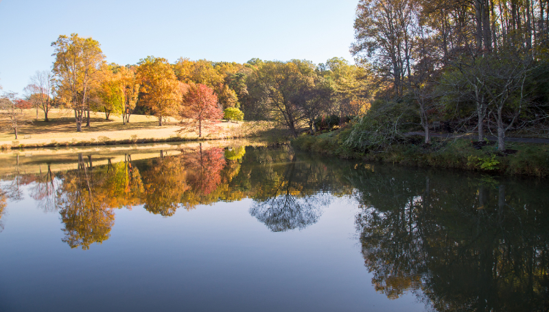 Scenic view of a pond lined with colorful trees in fall
